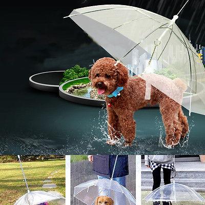 Transparent Pet Umbrella Portable Built-in Leash Puppy Umbrella Cat Raincoat