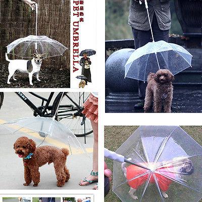 Transparent Pet Umbrella Portable Built-in Leash Puppy Umbrella Cat Raincoat